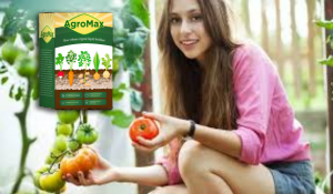 AgroMax organikus trágya, összetevők, hogyan kell használni, hogyan működik
